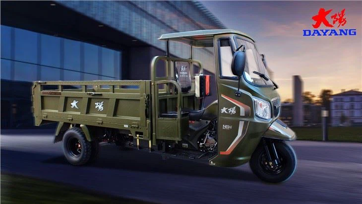 3 Wheel Adult Cargo Tricycle on sale
