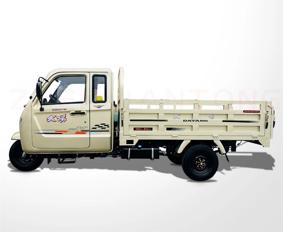 3 Wheel Electric Cargo Tricycle