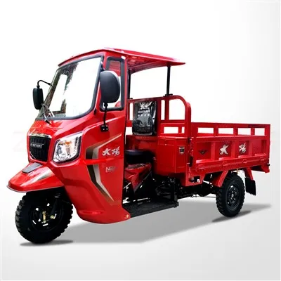 250CC 300CC 350CC GOZOLIN PETROL Carguero Trimotooto